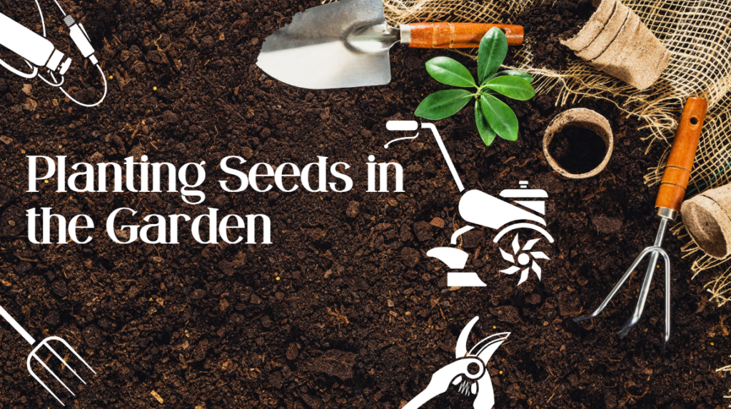 planting seeds in the garden
