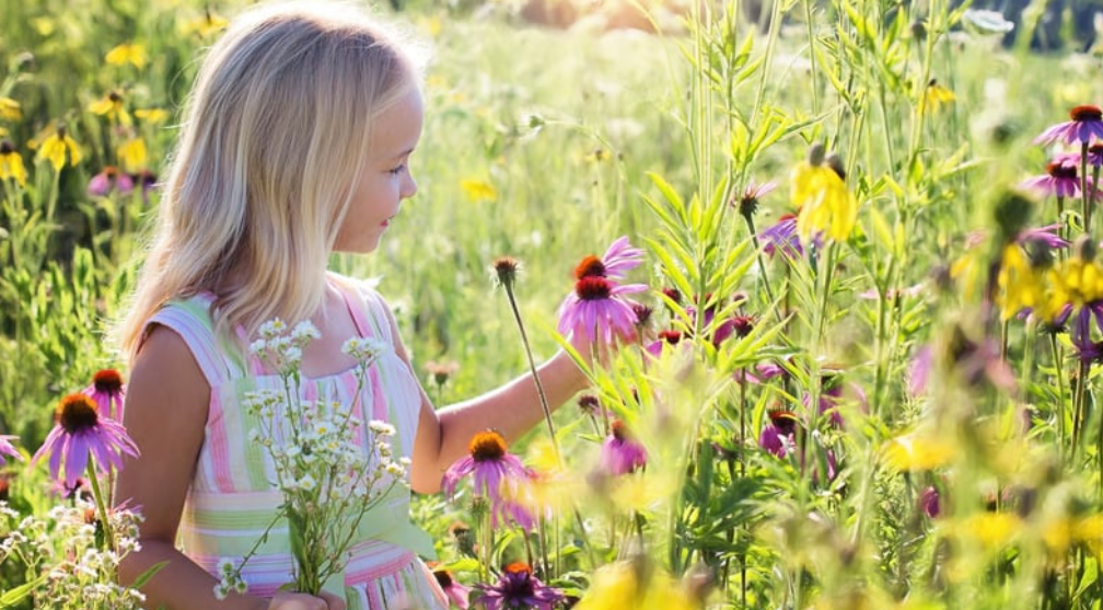 little-girl-in-the-field-of-flowers