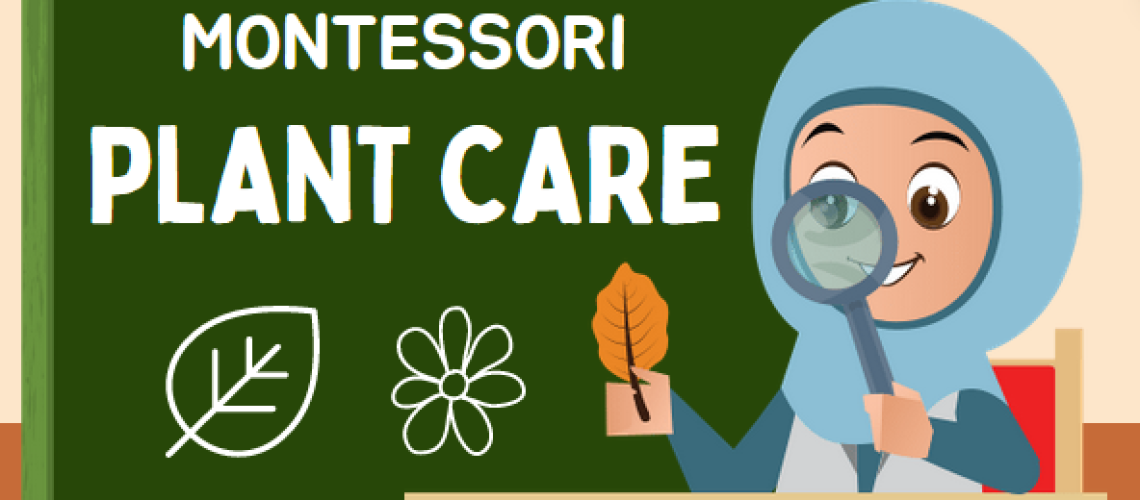 montessori plant